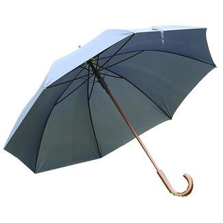 Hook umbrella  RU1919
